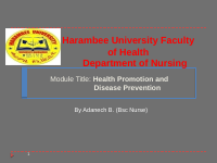H. promotion 1 (1).pptx
